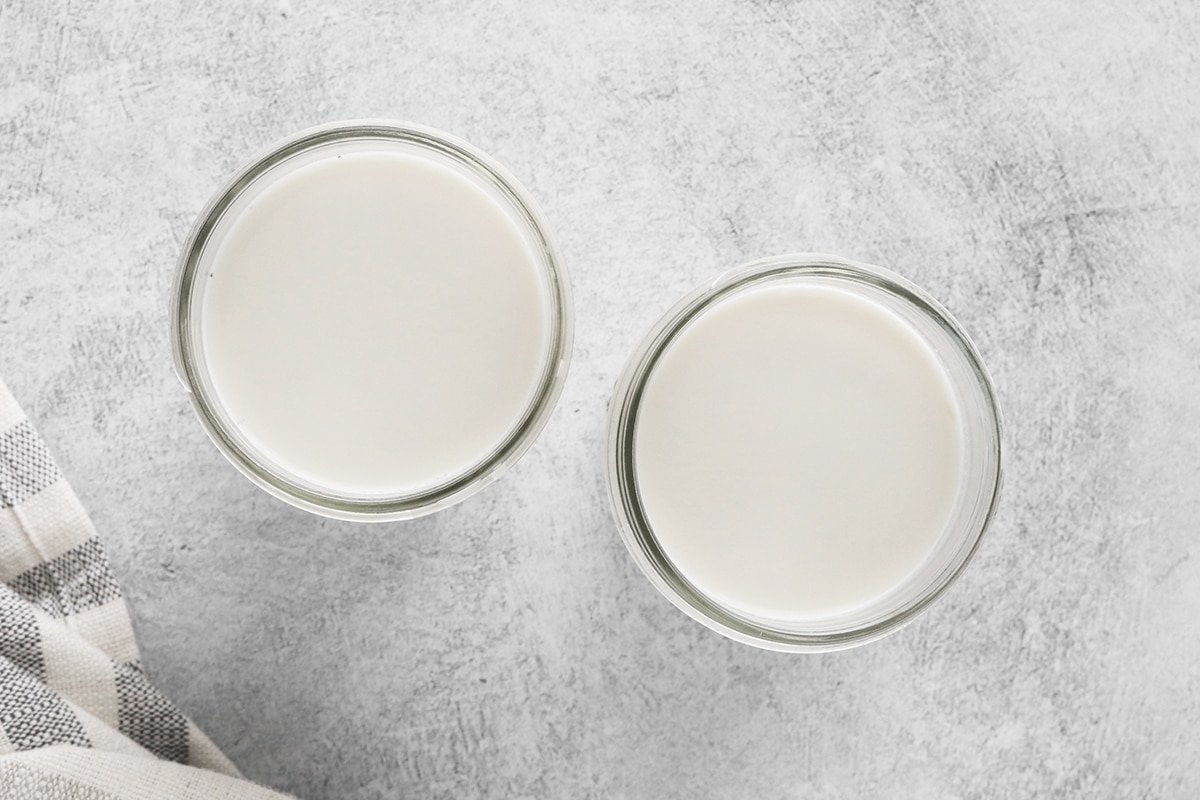 Is Greek Yogurt Vegan? Plus Best Substitutes and Brands Clean Green