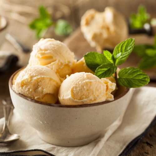 Vegan vanilla ice cream in a bowl with mint garnish