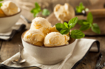 Vegan Vanilla Ice Cream in a bowl with mint garnish