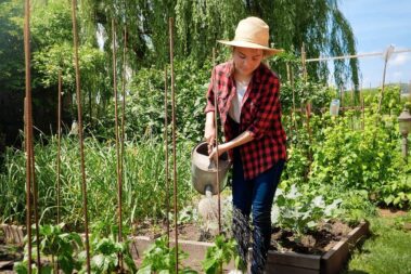 What to Plant in a Fall Vegetable Garden